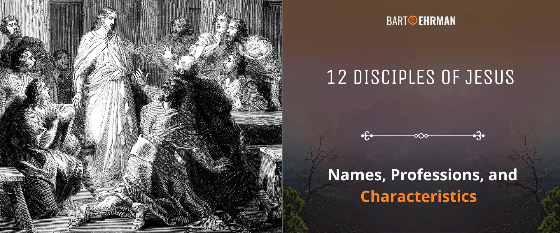 12 Disciples of Jesus - Names, Professions, and Characteristics