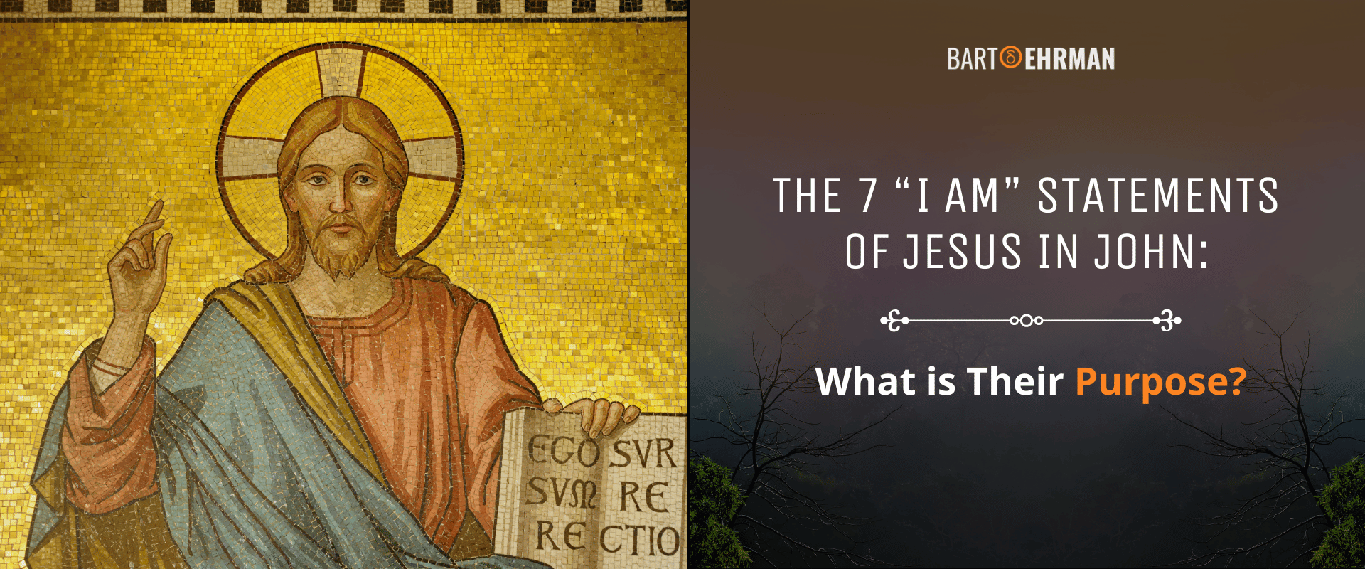 7 “I Am” Statements of Jesus 7 “I Am” Statements of Jesus