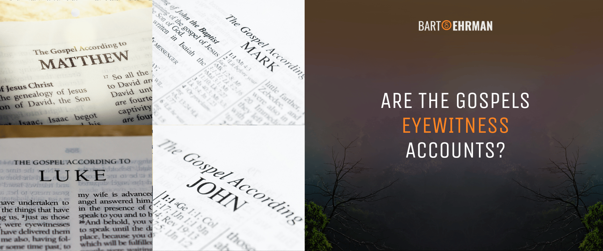 Are the Gospels Eyewitness Accounts