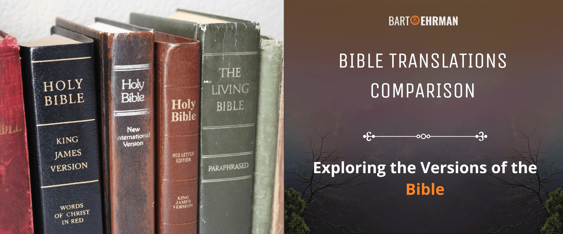 Bible Translations Comparison -Exploring the Versions of the Bible