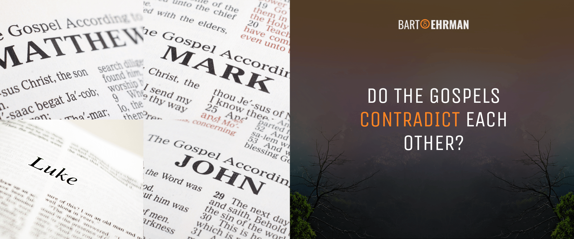Do the Gospels Contradict Each Other