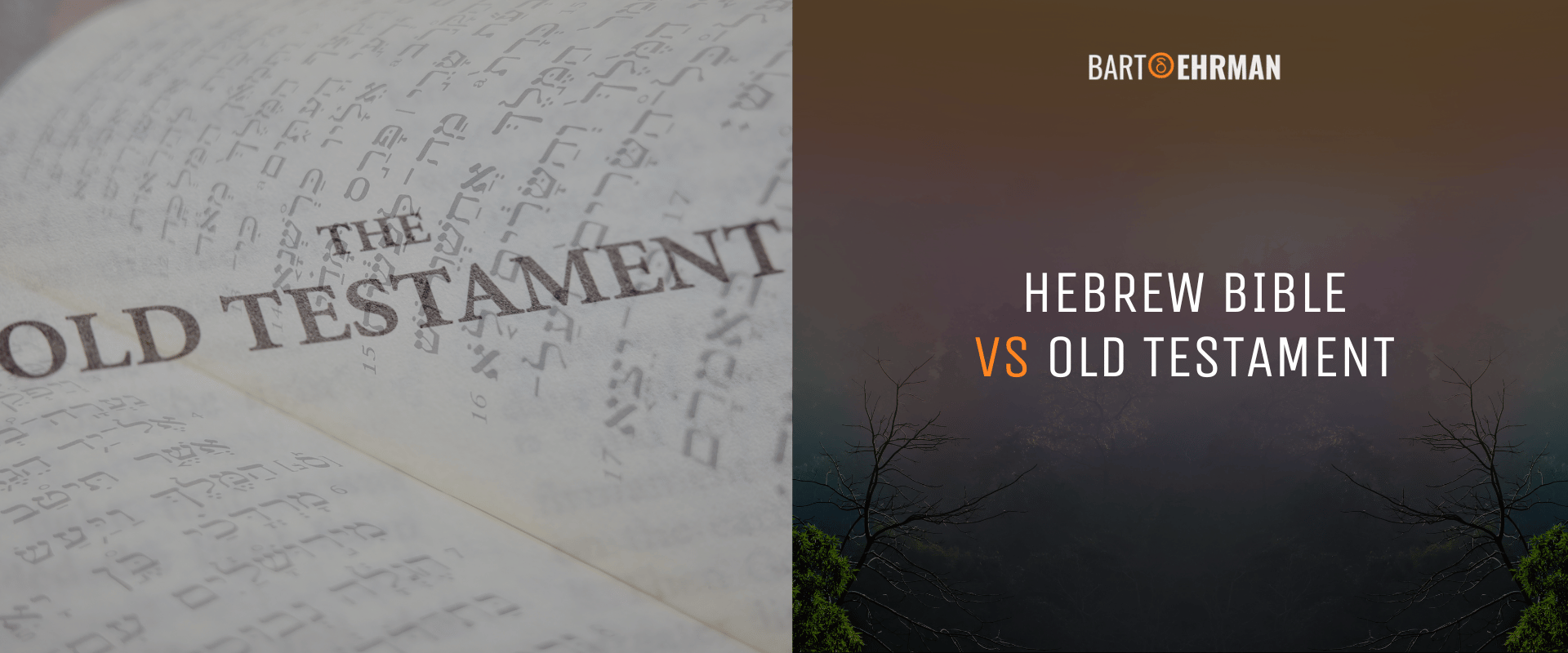 Hebrew Bible vs Old Testament