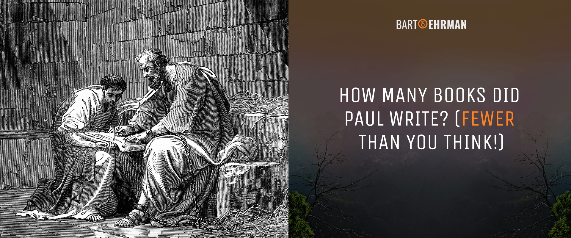 How Many Books Did Paul Write
