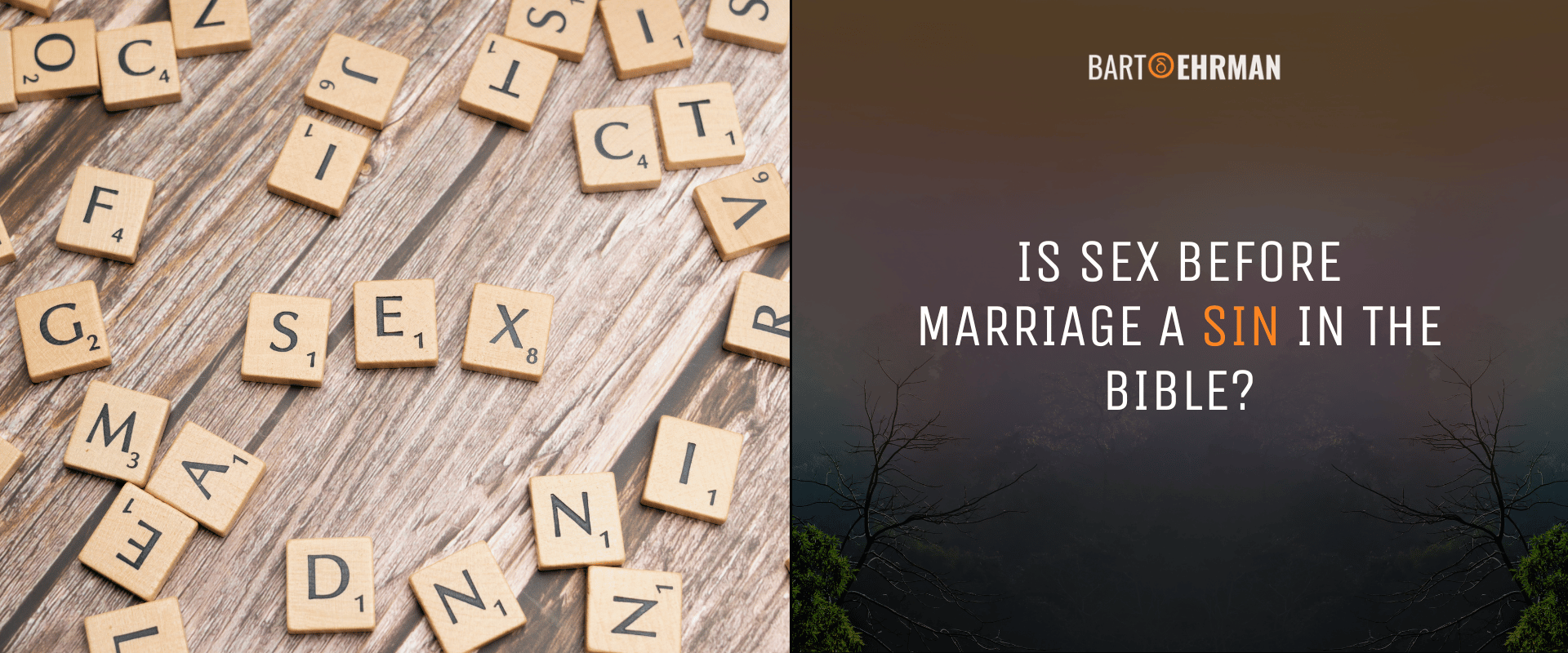 Is Sex Before Marriage a Sin in the Bible