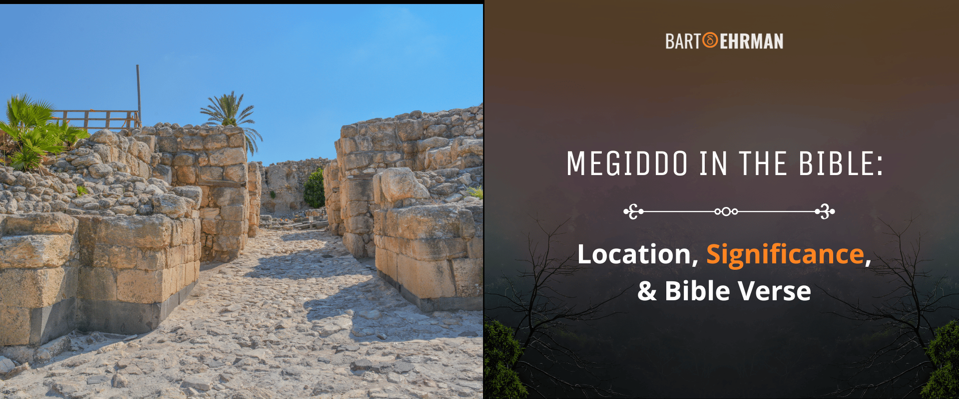 Megiddo in the Bible