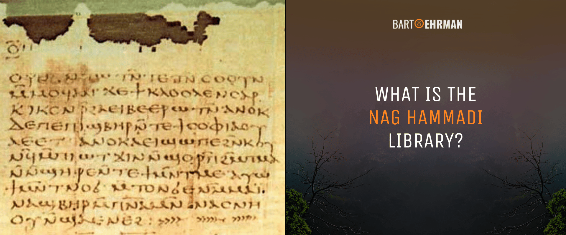 Nag Hammadi Library Nag Hammadi Library