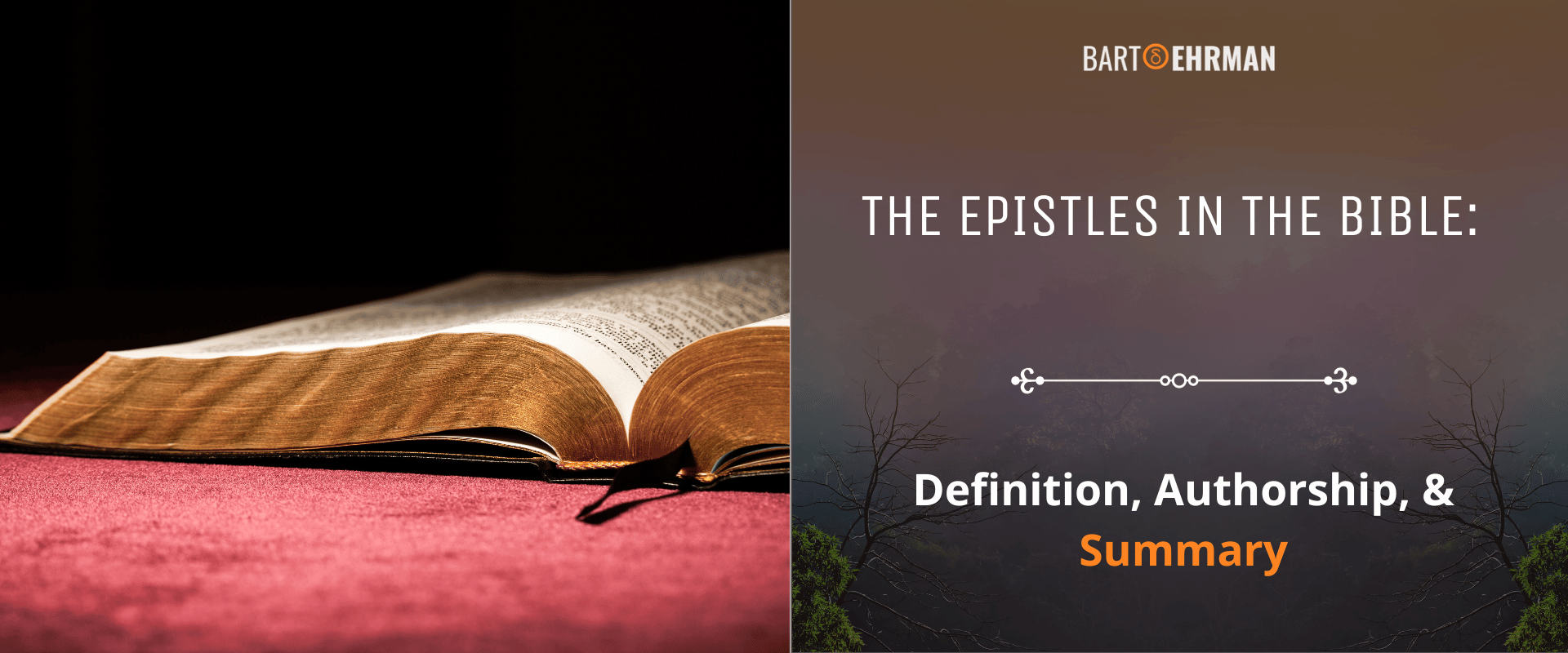 The Epistles in the Bible - Definition, Authorship, & Summary