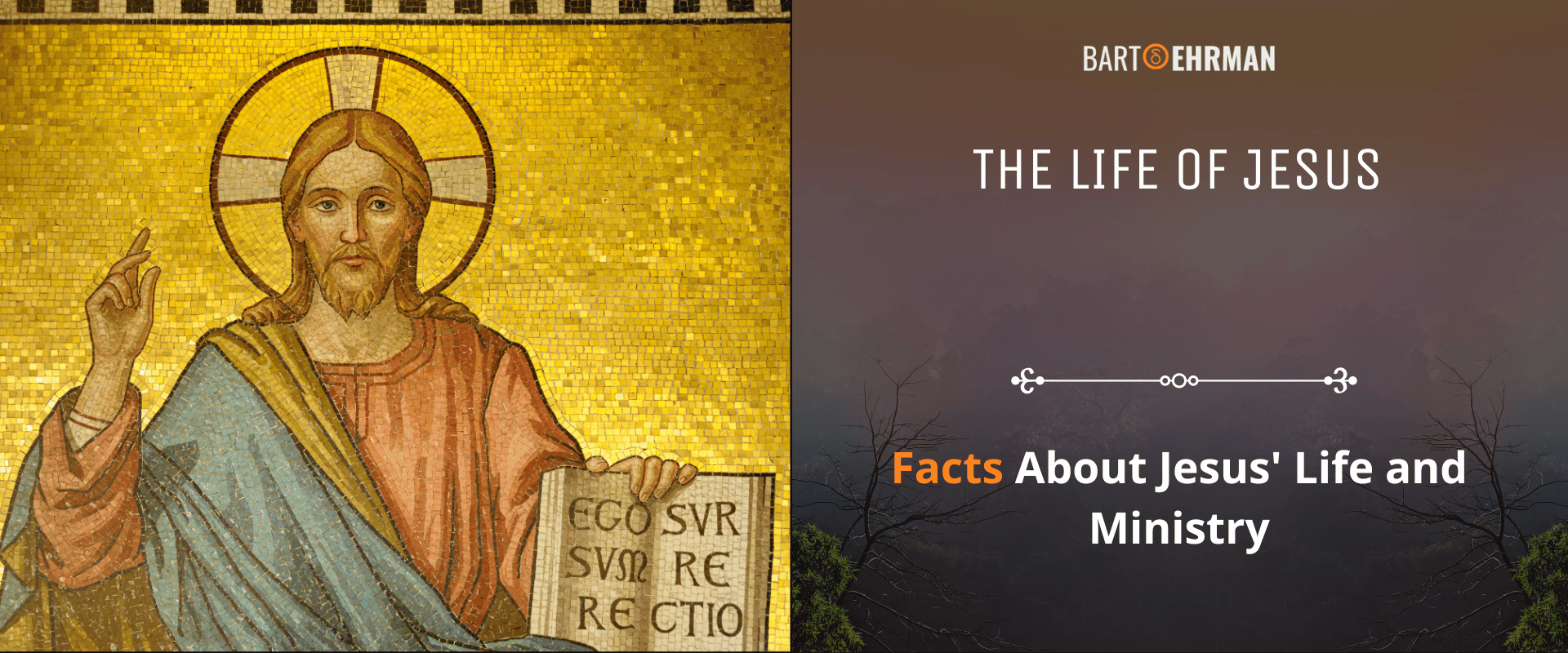 The Life of Jesus - Facts About Jesus Life and Ministry