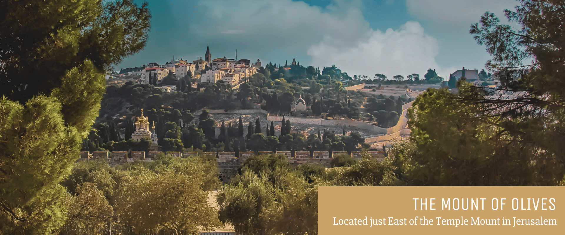 The Mount of Olives - Located East of the Temple Mount in Jerusalem