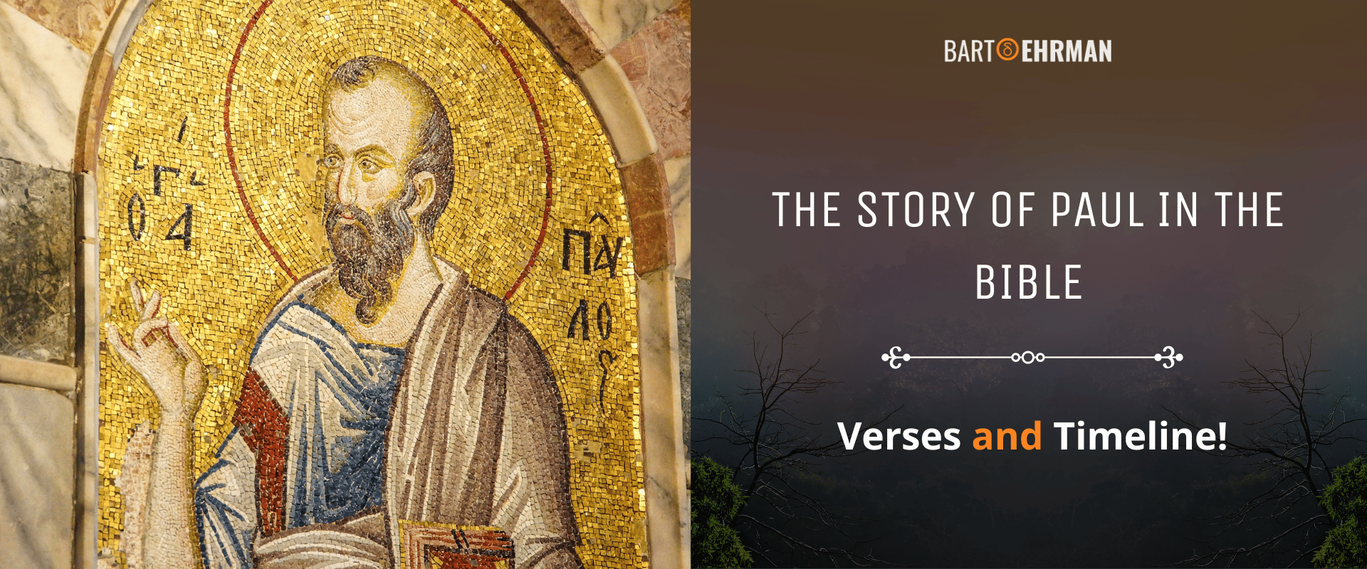 The Story of Paul in the Bible (Verses & Timeline!)