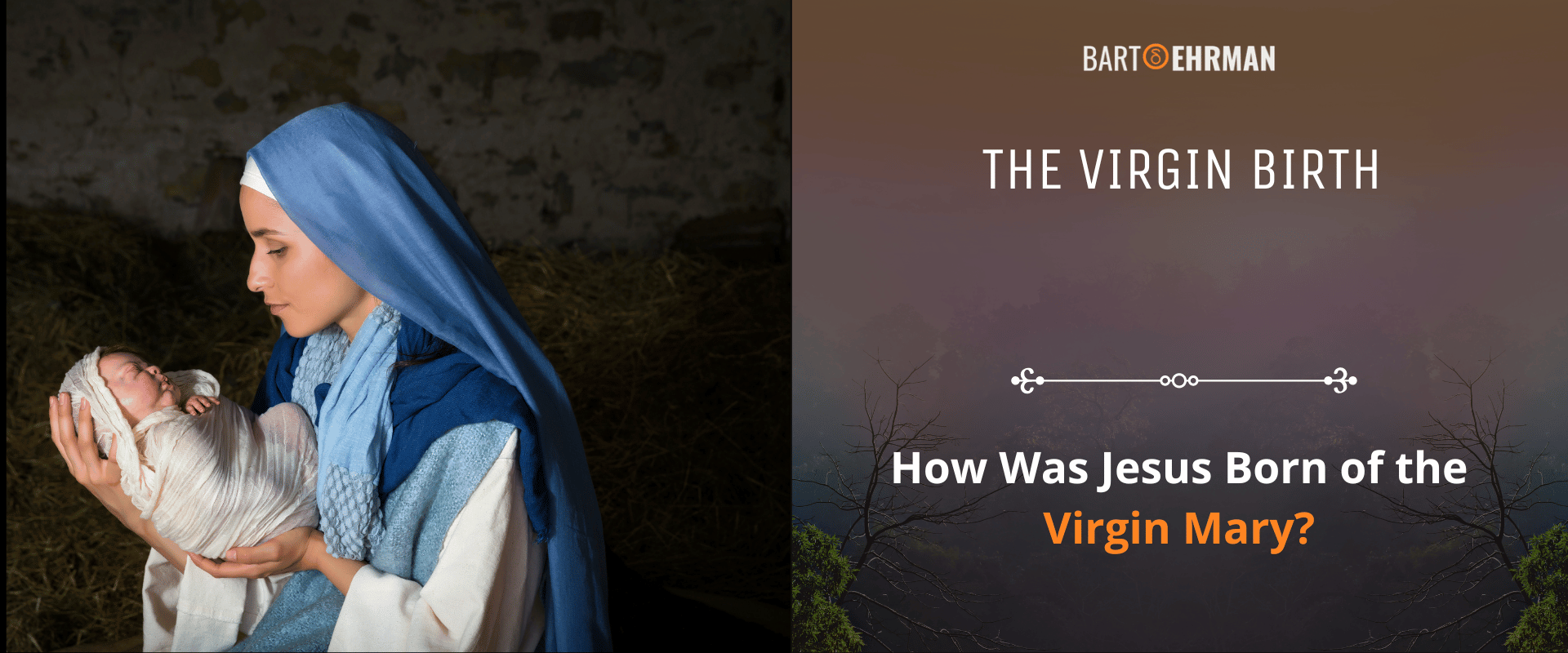 The Virgin Birth How Was Jesus Born of the Virgin Mary