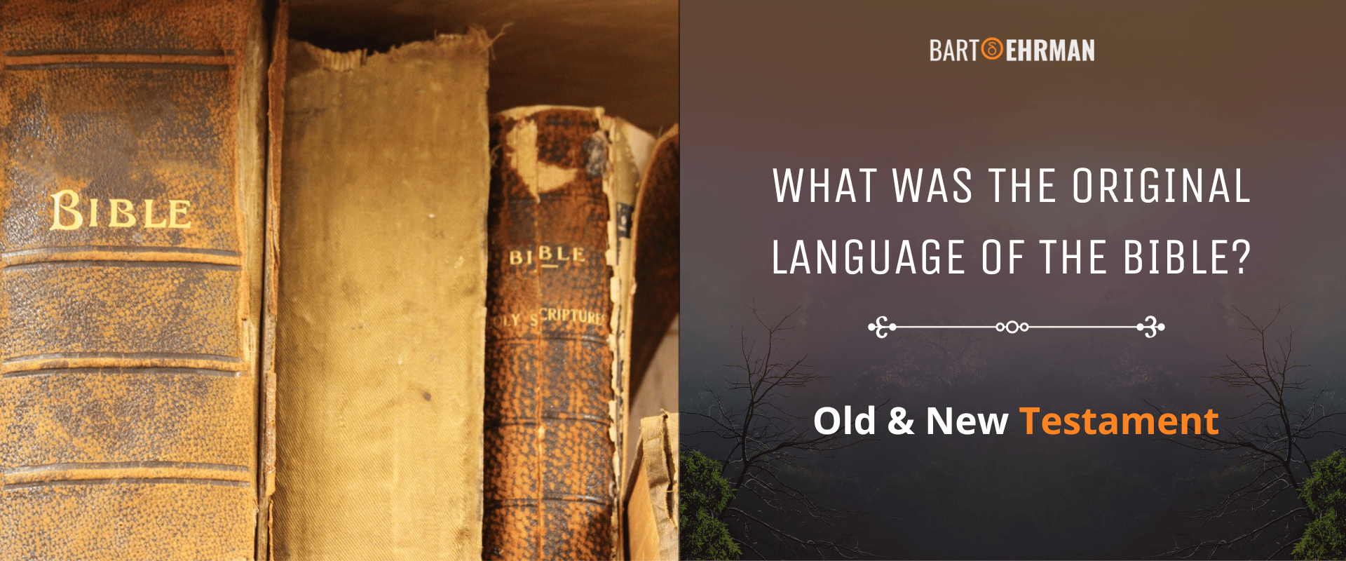 What Was the Original Language of the Bible
