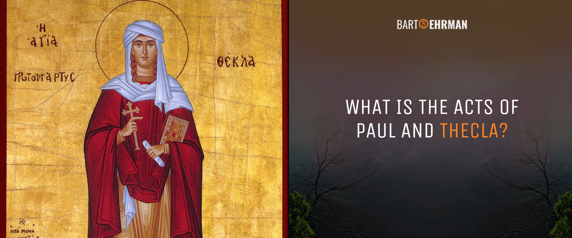 What are the Acts of Paul and Thecla What are the Acts of Paul and Thecla