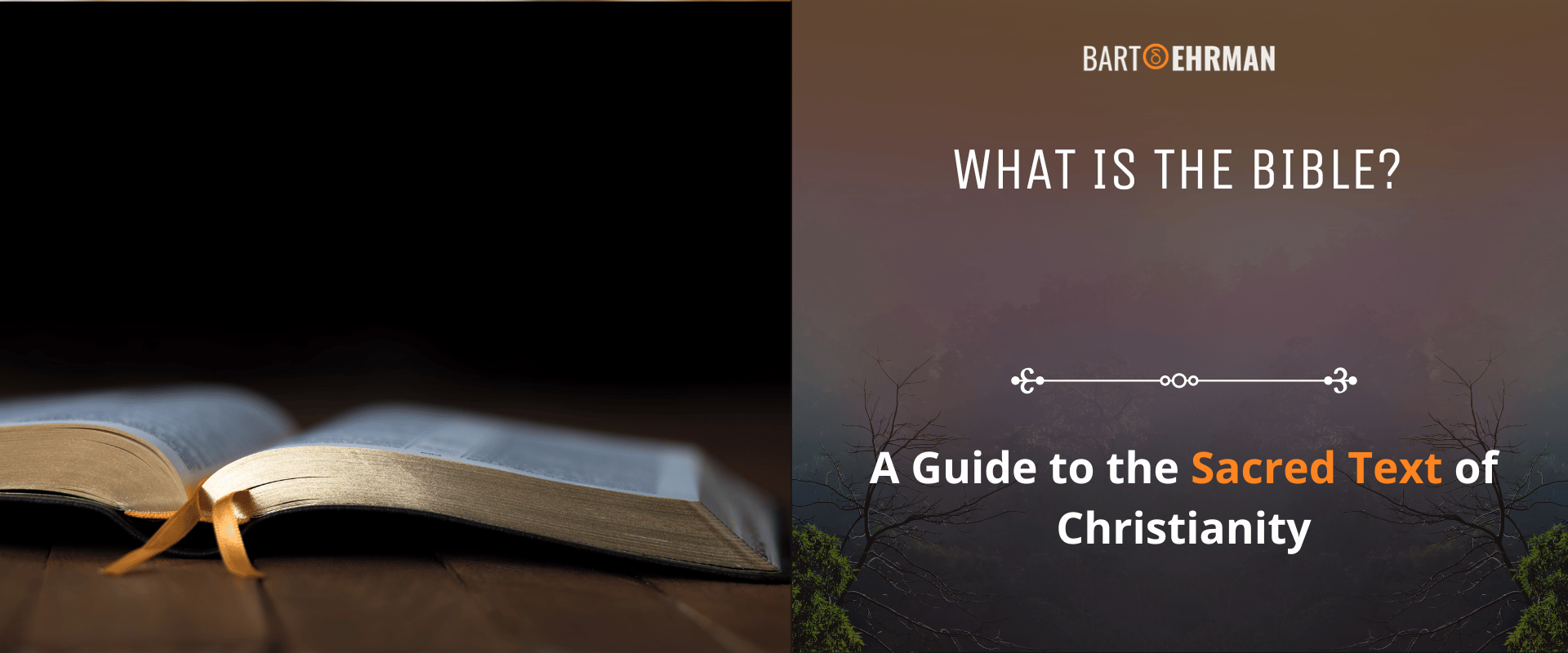 What is the Bible - A Guide to the Sacred Text of Christianity