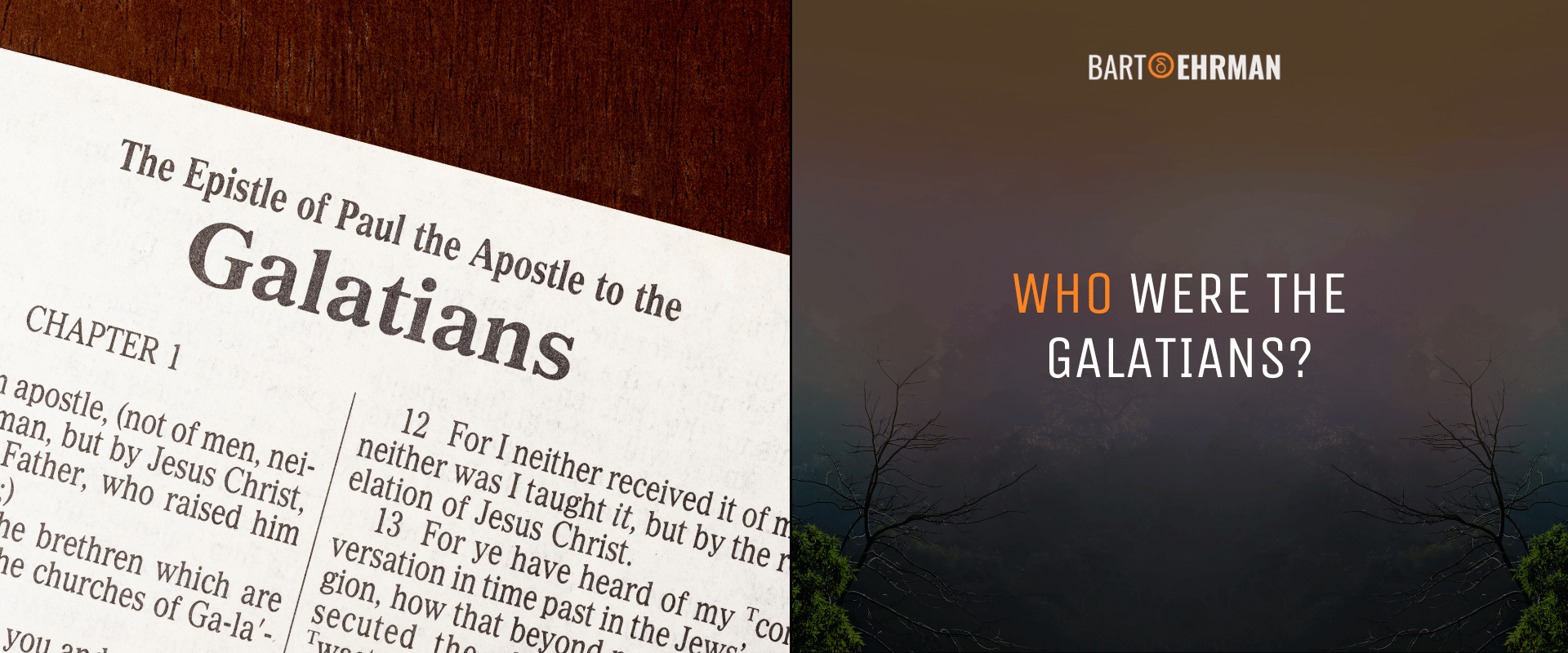 Who Were the Galatians Who Were the Galatians