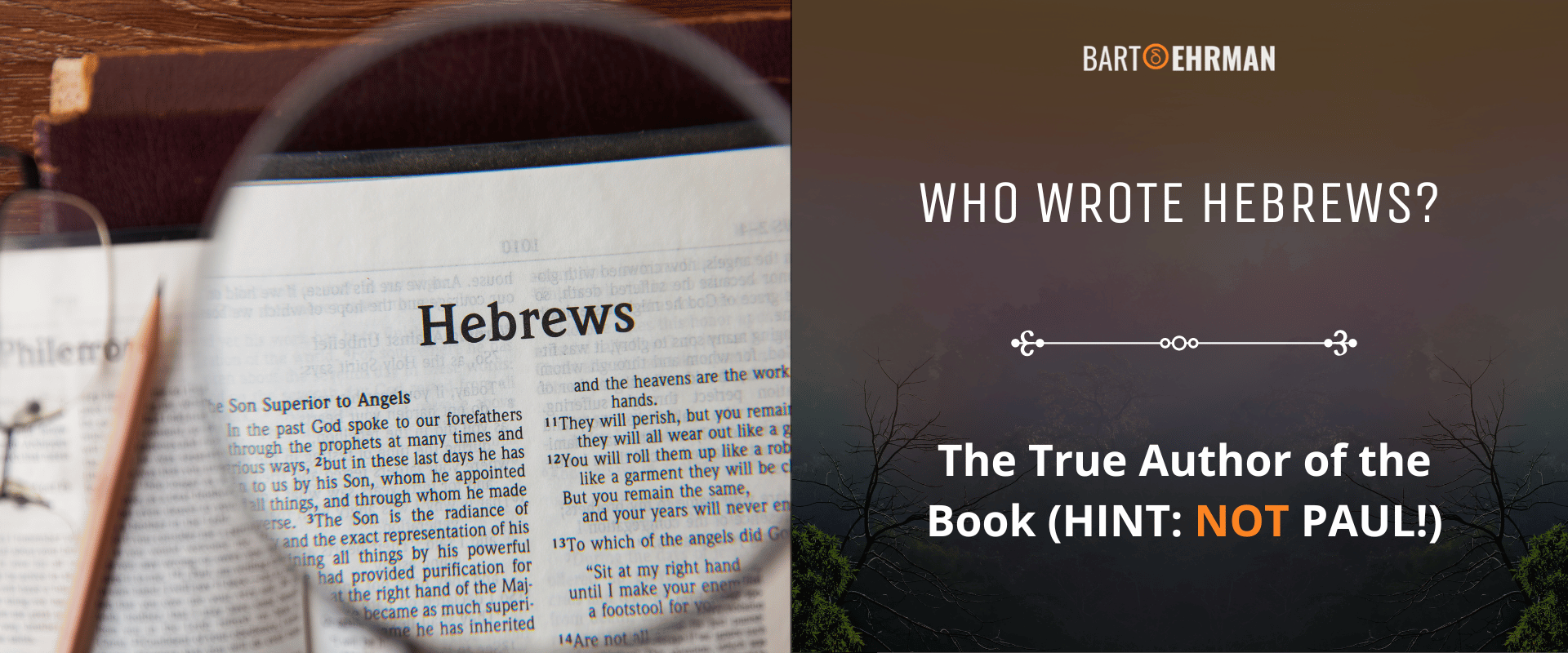 Who Wrote Hebrews_ The True Author of the Book