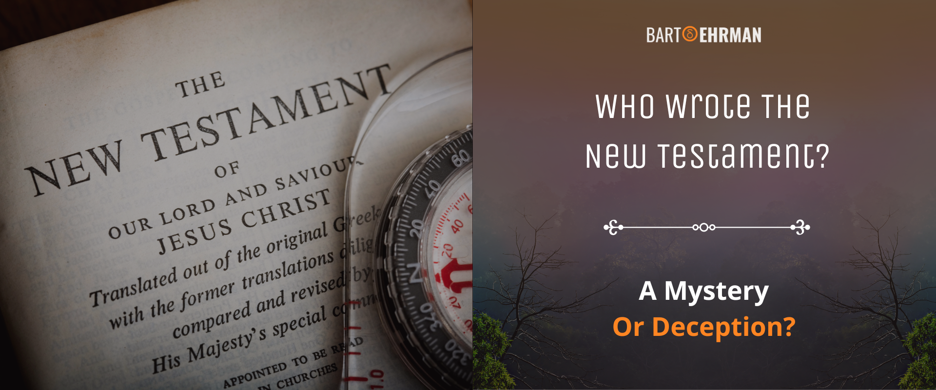 Who Wrote the New Testament? The Answer May Surprise You