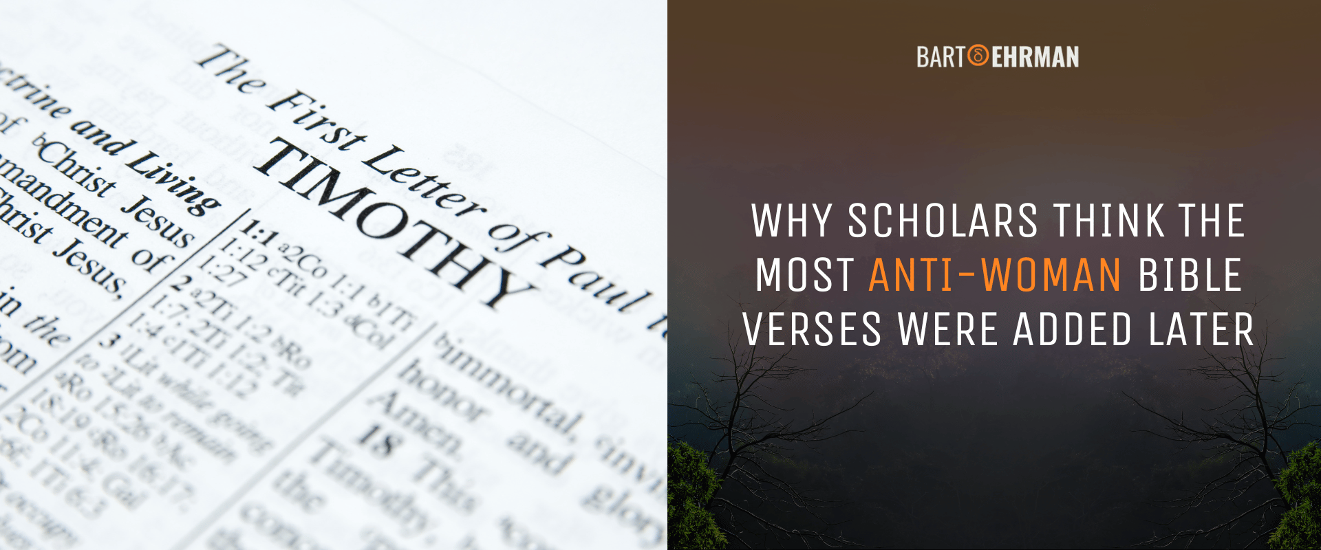 Why Scholars Think the Most Anti-Woman Bible Verses Were Added Later Why Scholars Think the Most Anti-Woman Bible Verses Were Added Later
