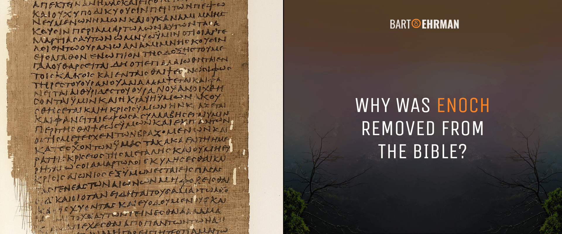 Why Was Enoch Removed from the Bible Why Was Enoch Removed from the Bible