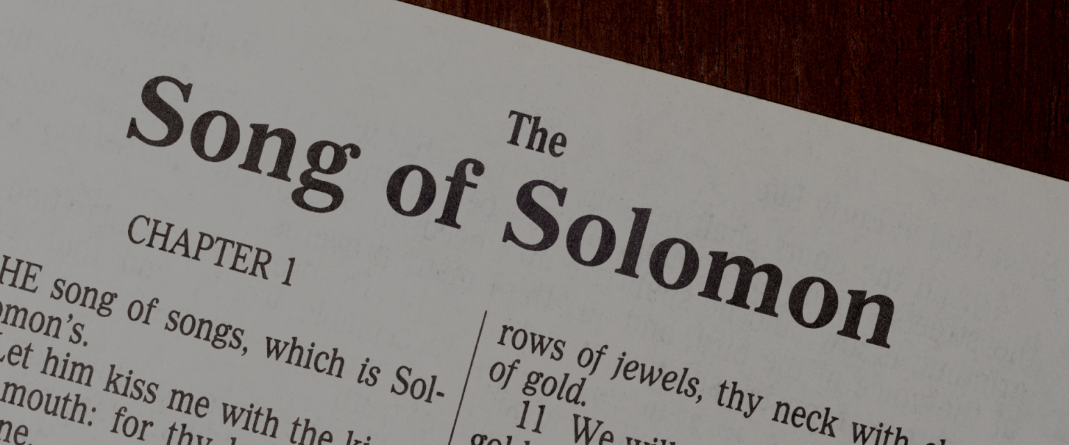 What Does the Bible Say About Sex? (Verses)