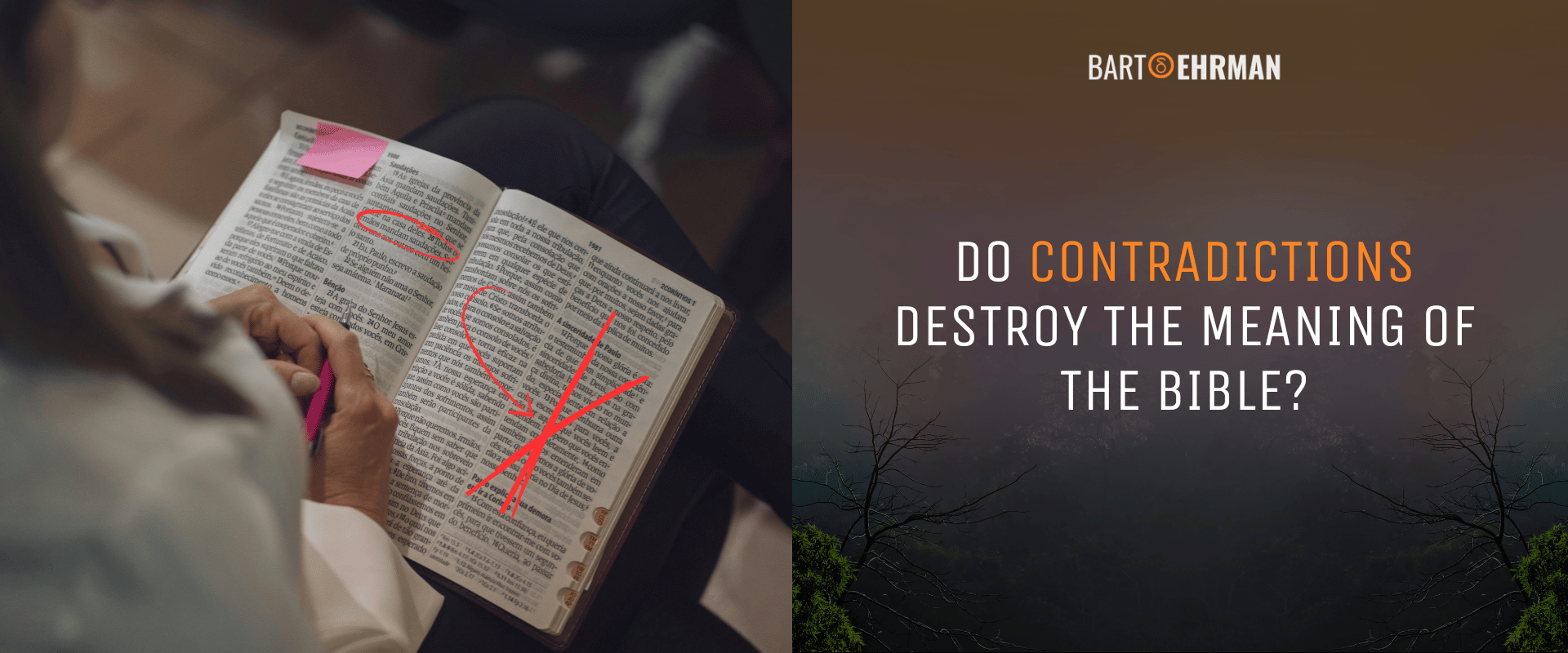 contradictions in the bible contradictions in the bible