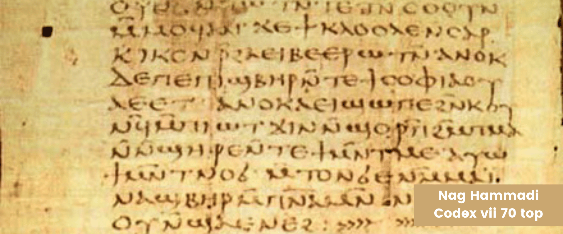 gnostic texts gnostic texts